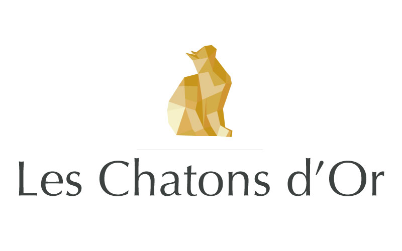 chaton d'or